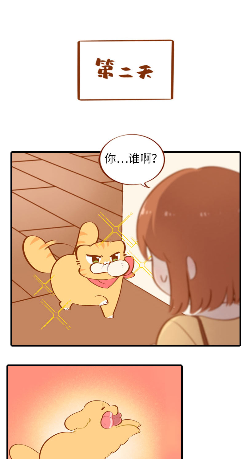 第40话 养狗一日体验4