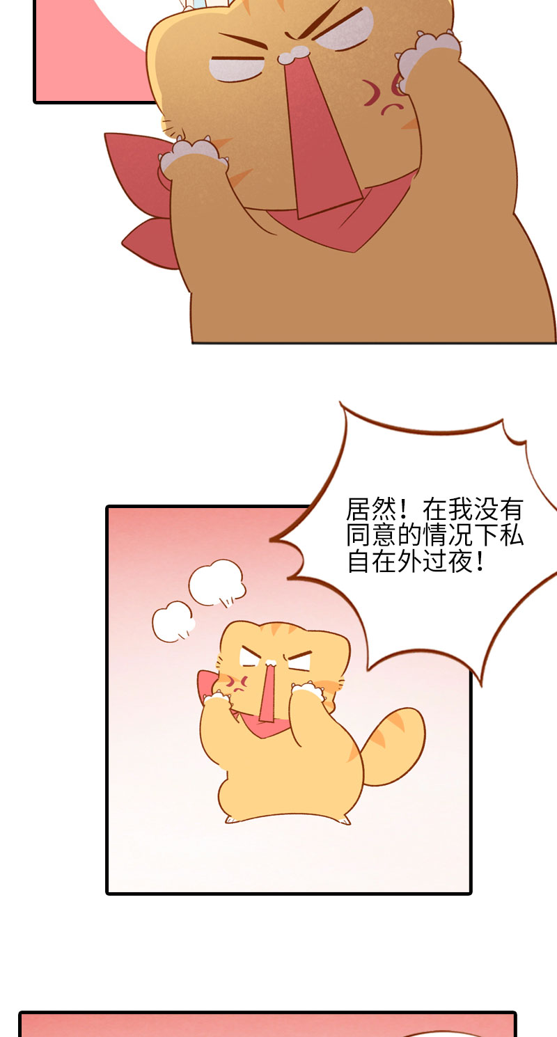 第49话 橘子的本体3