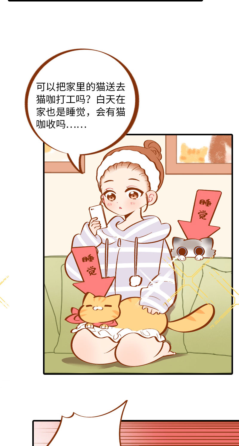 第4话 差点去猫咖打工2