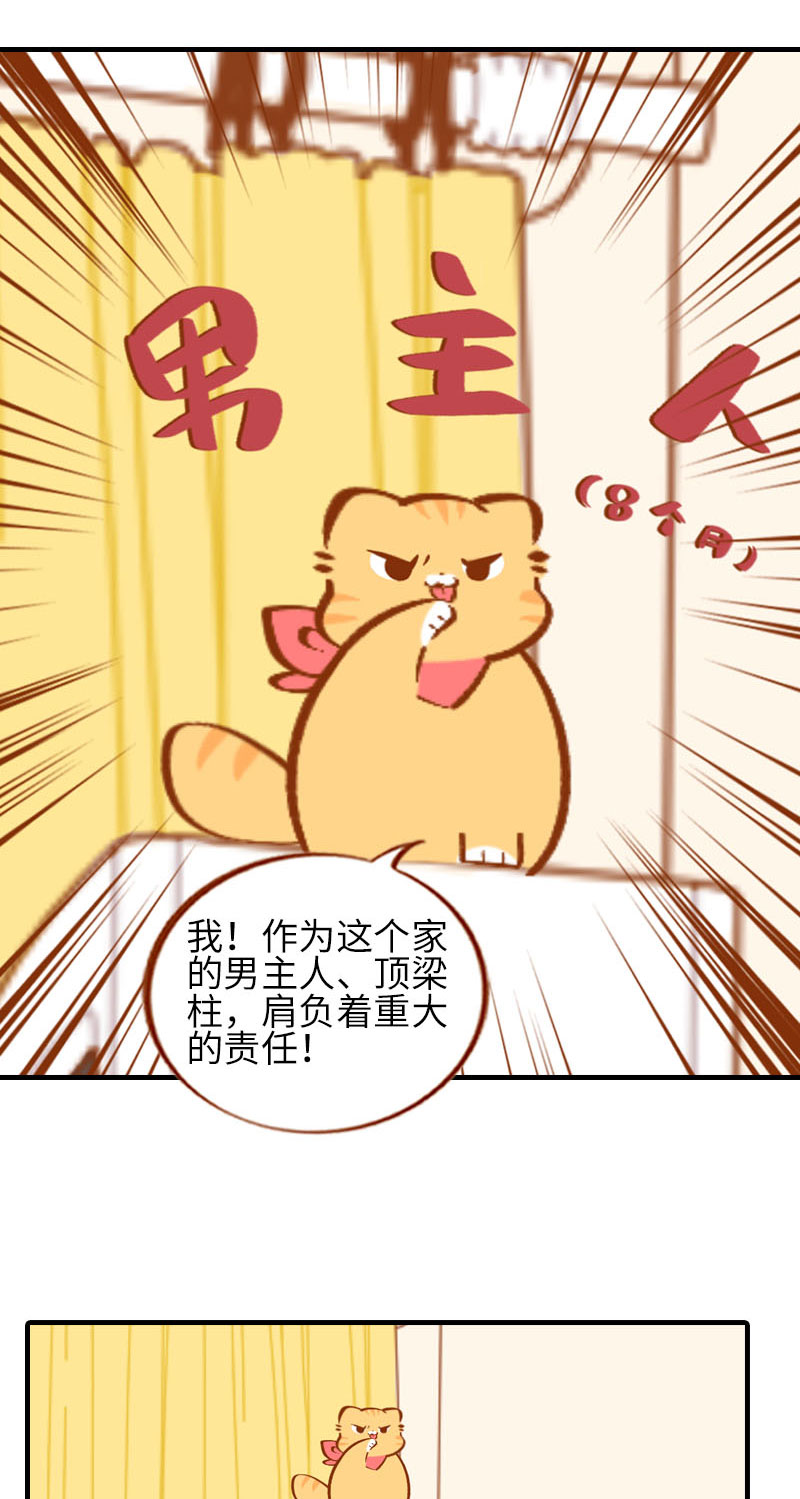 第37话 最没排面的男主人2