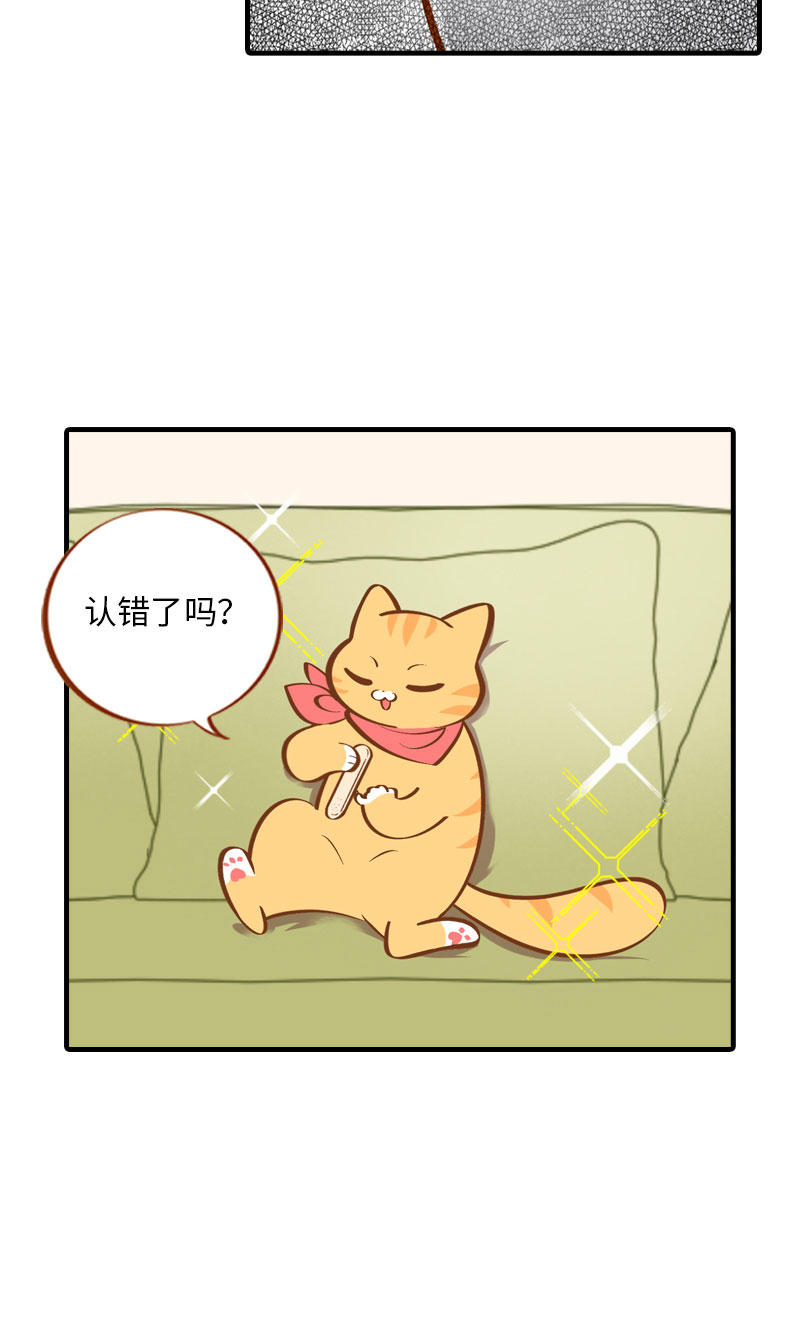 第7话 你认错了吗？4