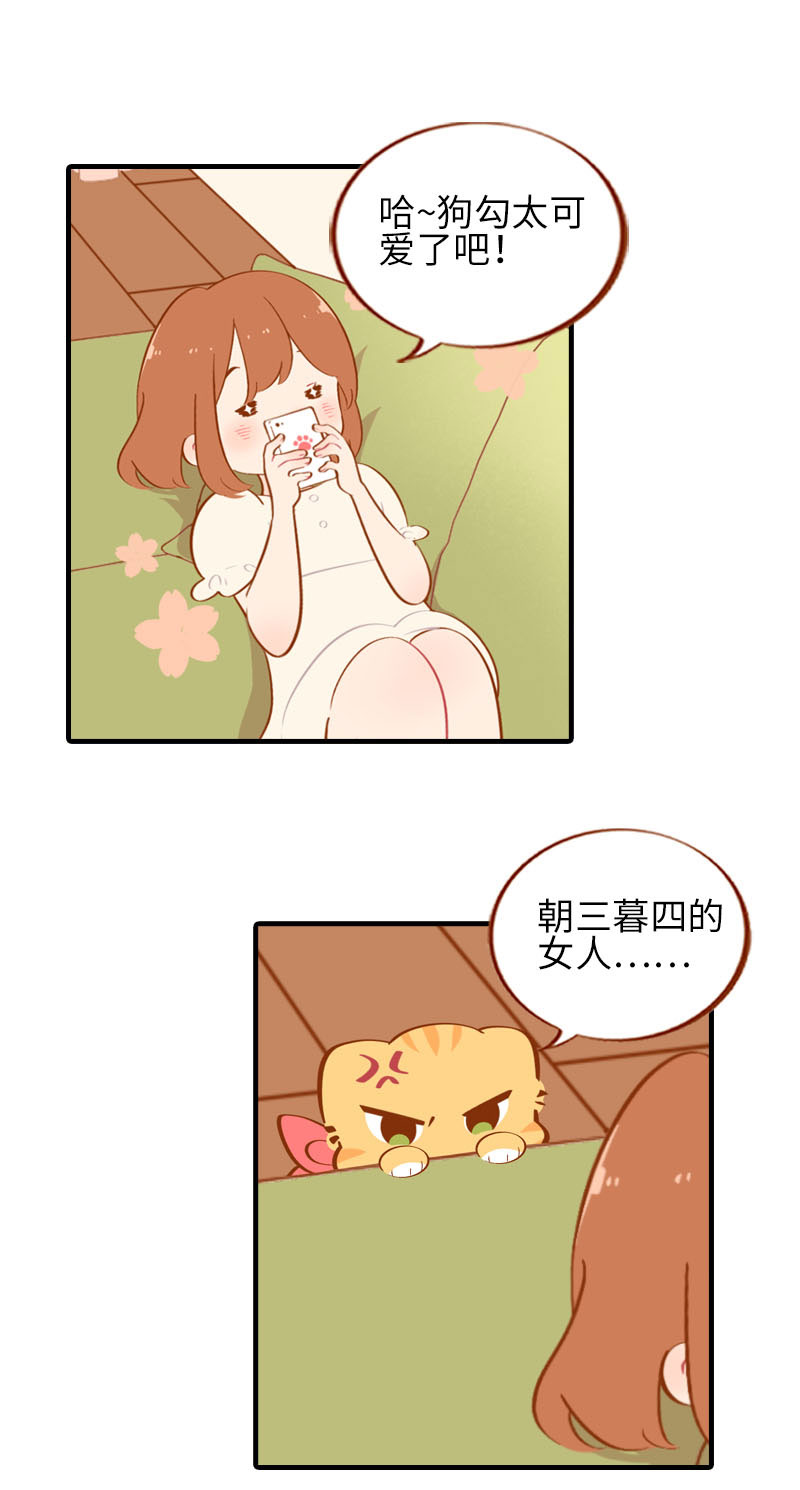 第40话 养狗一日体验1