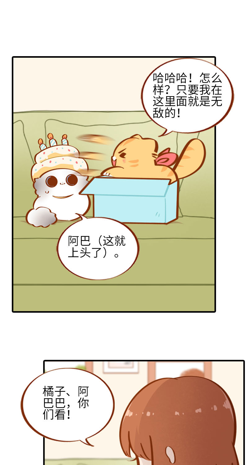 第33话 许个愿吧~1