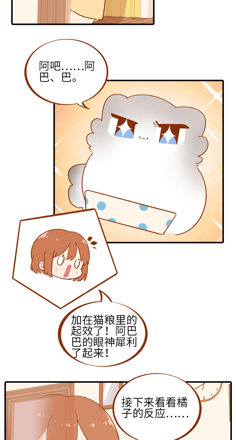 第46话 来一口猫薄荷2